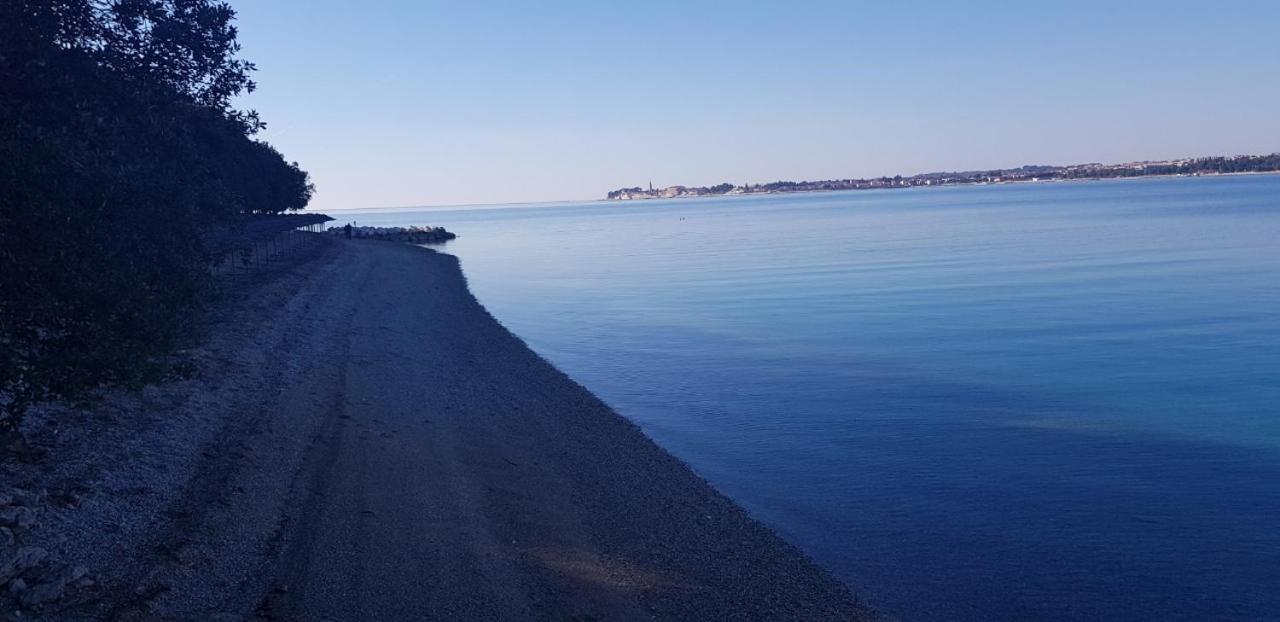 Apartman Lane Tar-Vabriga Εξωτερικό φωτογραφία