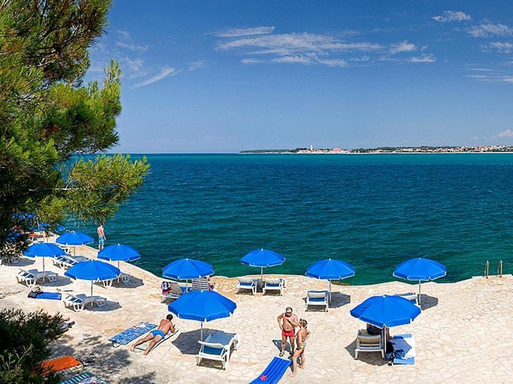 Apartman Lane Tar-Vabriga Εξωτερικό φωτογραφία